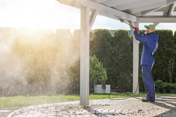 Best Soft Washing  in North St Paul, MN